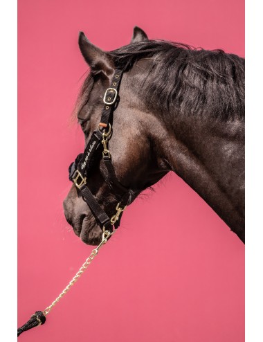 Licol doublé Scratchy - noir - PADDOCK SPORTS