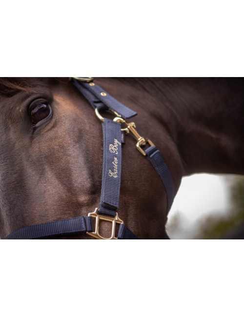 Licol nylon Brody - marine - Paddock Sports