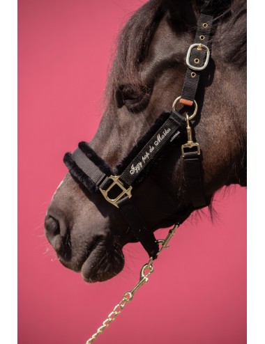 Licol doublé Scratchy - noir - PADDOCK SPORTS