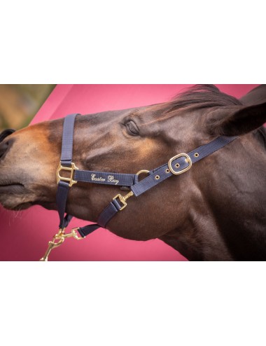 Licol nylon Brody - marine - Paddock Sports