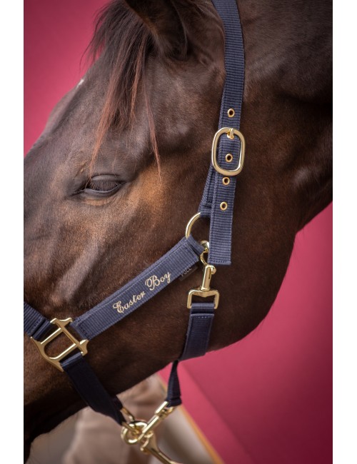 Licol nylon Brody - marine - Paddock Sports