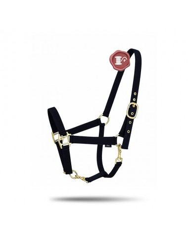 Licol Brody Noir Personnalisable Paddock Sports