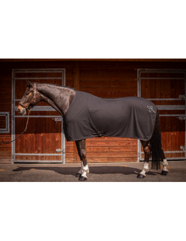 Chemise de remise des prix séchante - Noir - PADDOCK SPORTS