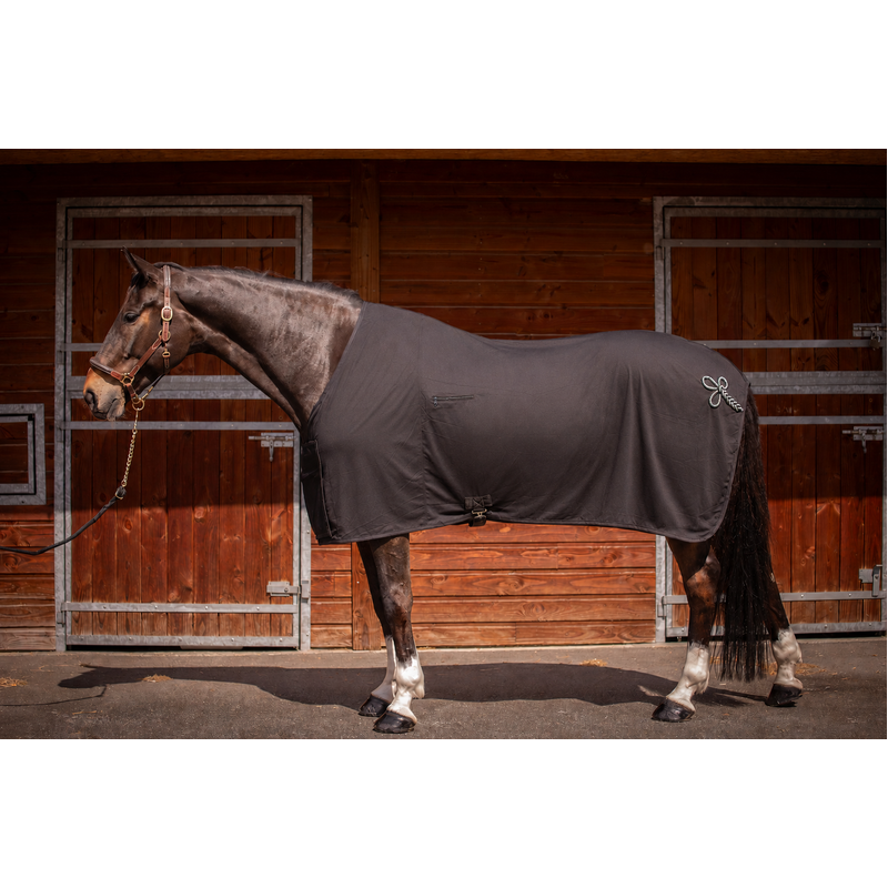 Chemise de remise des prix séchante - Noir - PADDOCK SPORTS